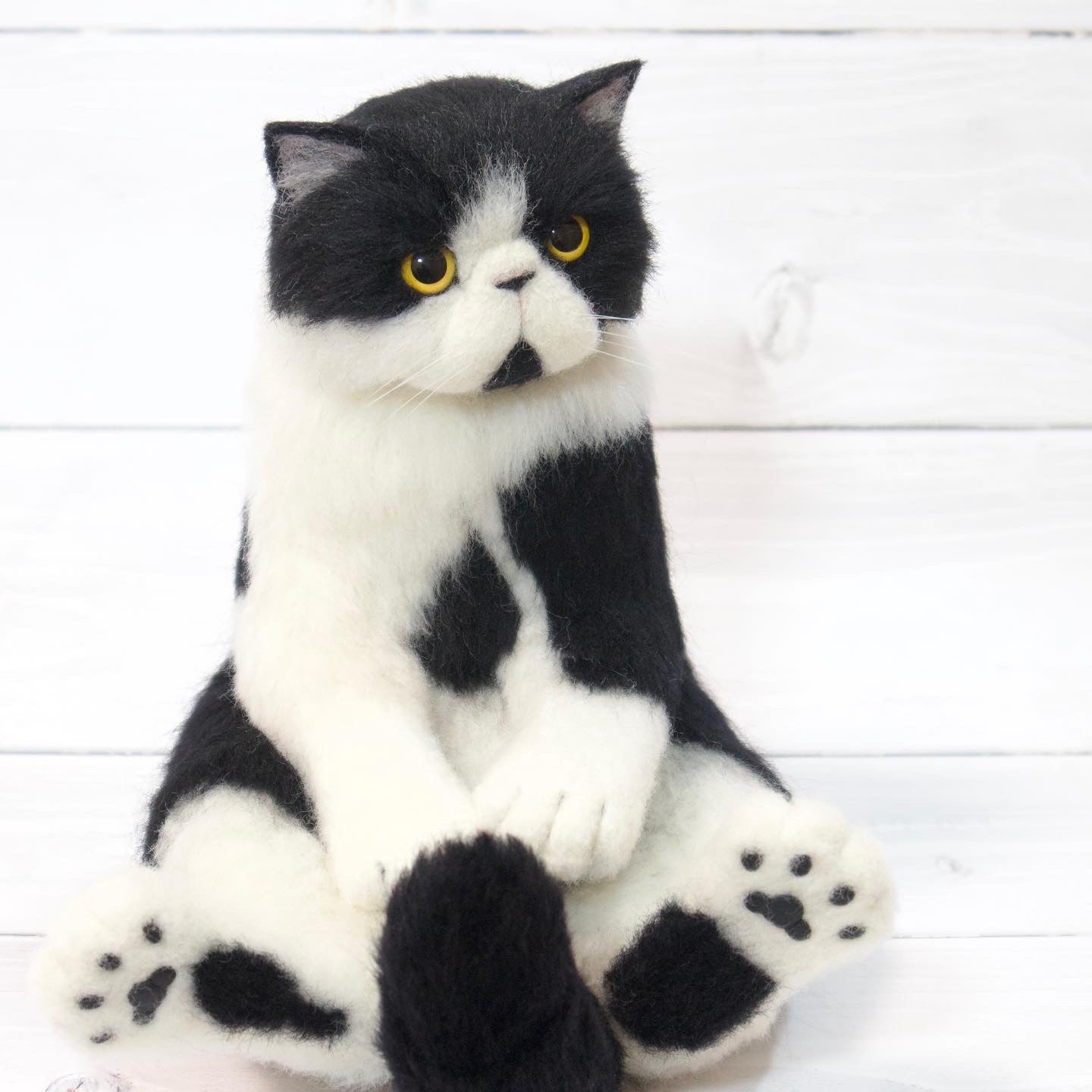 羊毛フェルトの猫 エキゾチックショートヘア
