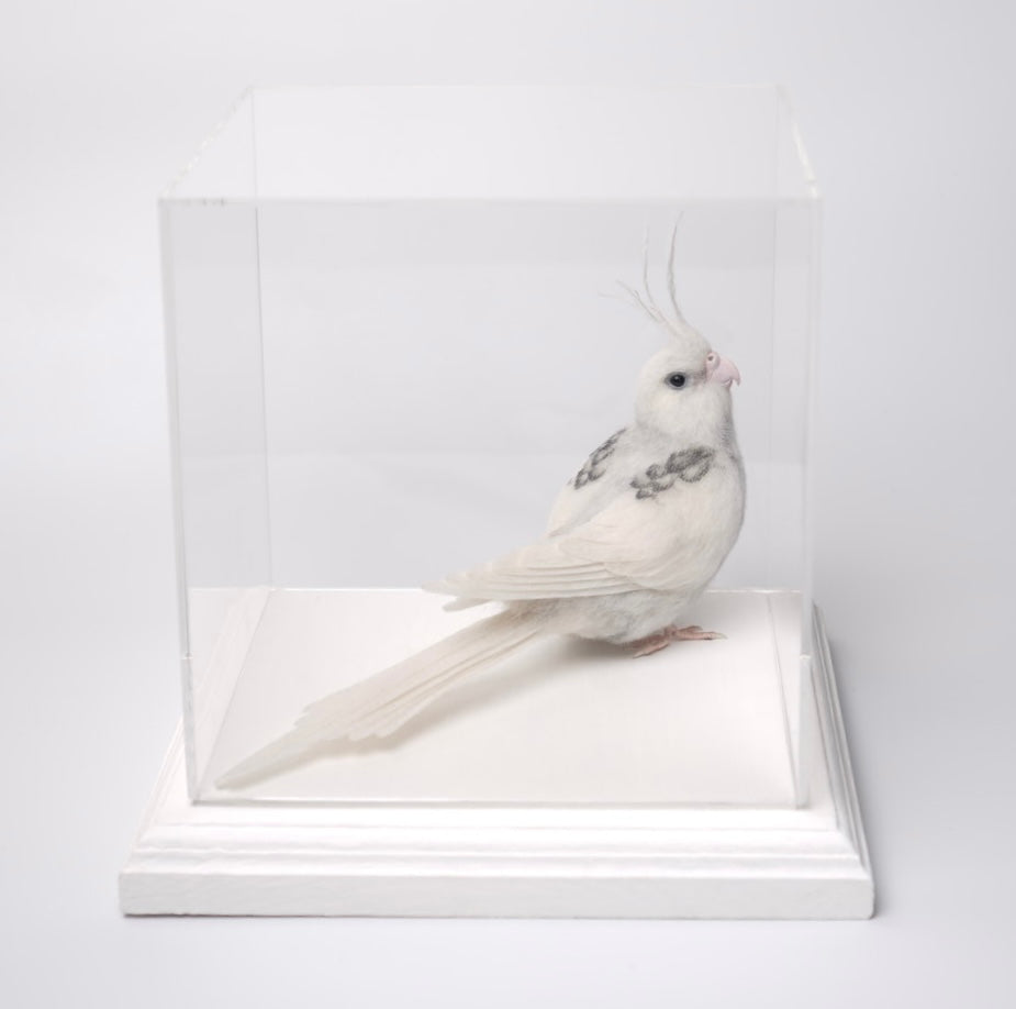 アクリルケース アイボリー 200mm×200mm×200mm 板厚3mm