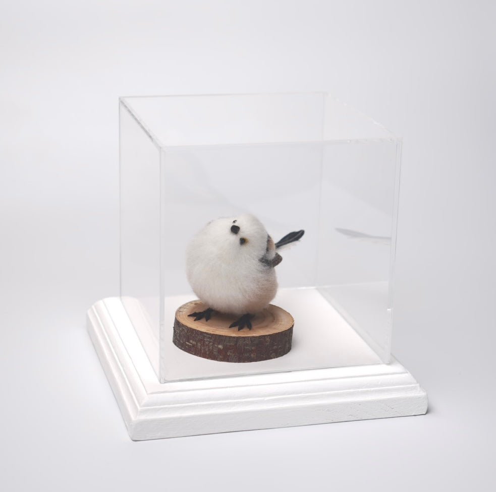 アクリルケース アイボリー 150mm×150mm×150mm 板厚3mm