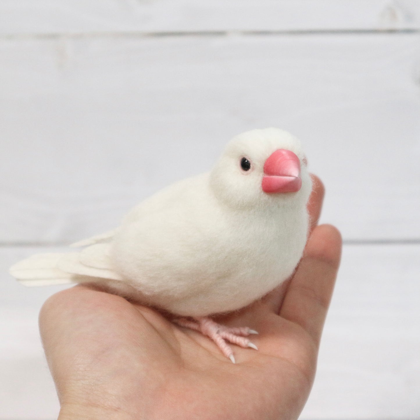羊毛フェルトの白文鳥