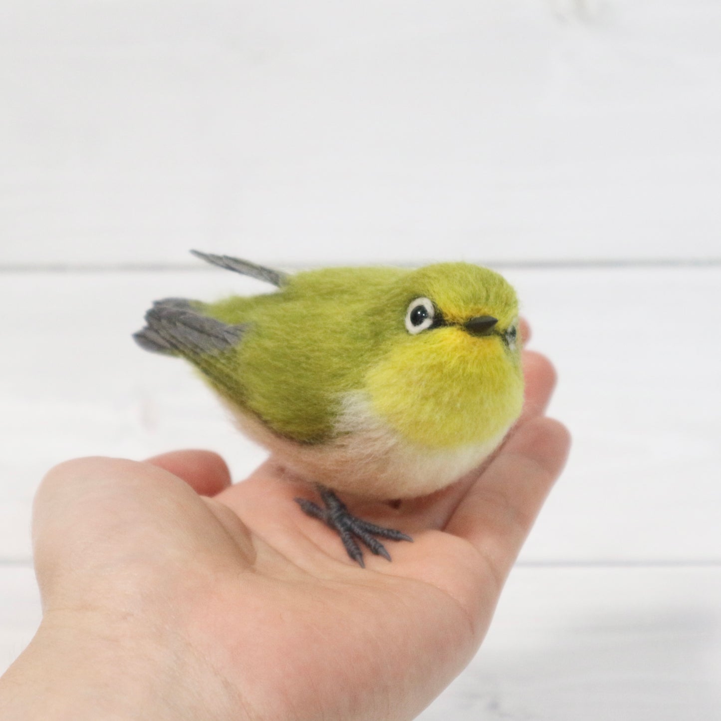 羊毛フェルトのメジロ