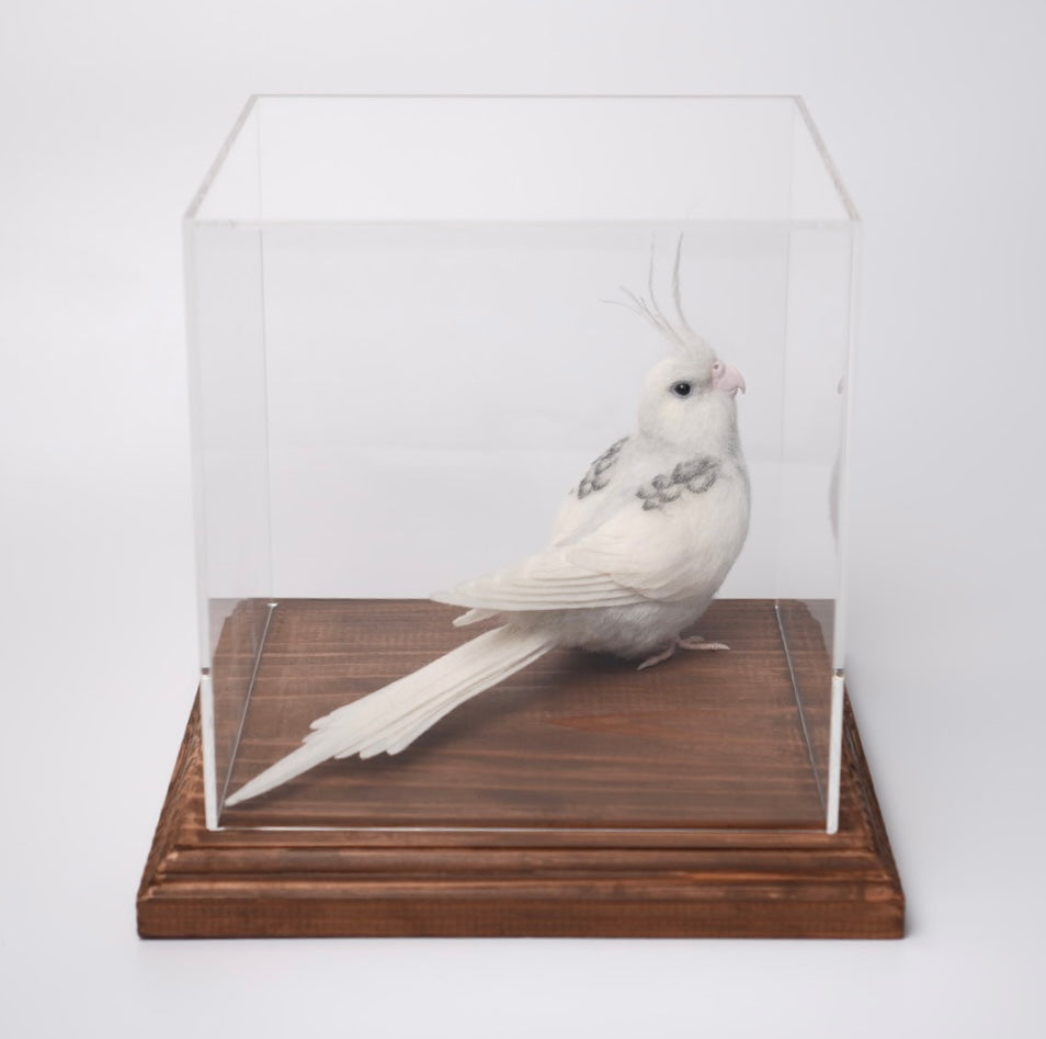 アクリルケース　レトロブラウン　200mm×200mm×200mm 板厚3mm